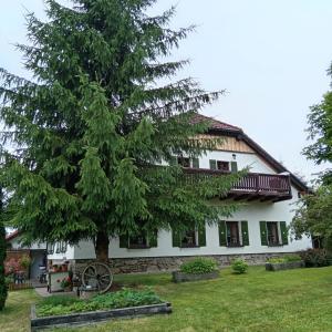 a house with a tree in front of it at Pension Pumperle in Strážný