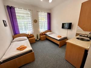 a small room with two beds and a sink at Pension Gábi in Františkovy Lázně