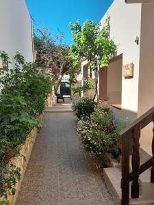 a walkway between two buildings with trees and plants at Il Sole Di Lampedusa in Lampedusa