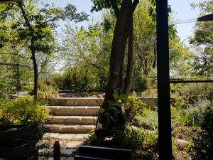 a set of stairs in a garden at The House On The Hill in Lanseria