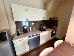 a small kitchen with white cabinets and a sink at Moser Apartment Carlsbad in Karlovy Vary