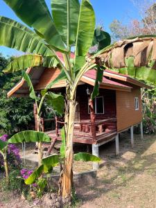 a house with a palm tree in front of it at Koh Jum Ozone Resort in Ko Jum