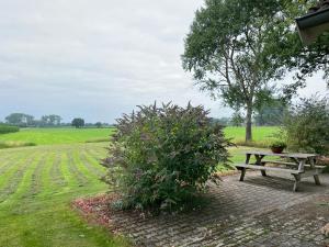 a picnic table and a bush next to a field at Gastenverblijf WeijdeBlik in Sinderen +5 photos