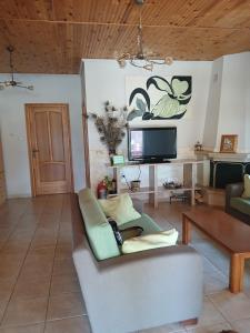 a living room with a couch and a tv at Lefter's Cottege in Nea Irakleia