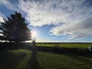 a tree in a field with the sun in the sky at Lucy Cross Farm Cottage in Richmond