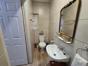 a bathroom with a toilet and a sink and a mirror at Modern rustic private flat in Bloemfontein