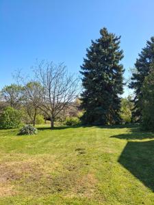 a field of grass with two trees in the background at Villa Hortensia in Aszófő
