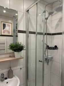 a bathroom with a shower and a sink at Ostseeferienparadies Heiligenhafen in Heiligenhafen