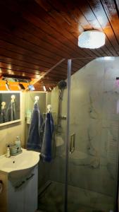 a bathroom with a shower and a sink at Apartman Pavle Mladenovac in Mladenovac +14 photos