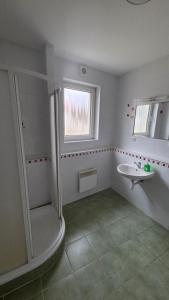a bathroom with a shower and a sink at Pension Úsvit in Podkopná Lhota +8 photos