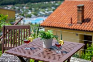 two glasses of wine and a potted plant on a wooden table at Studio for short stay in Rabac