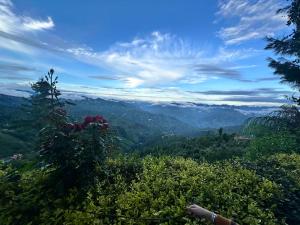 a view of a valley with mountains in the distance at Willow Winds Home Stay in Theog