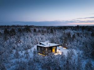 a house in the middle of a snow covered forest at Dharma Resort in Rässa