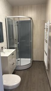 a bathroom with a shower and a toilet and a sink at Tommutún cottages in Borgarnes +24 photos