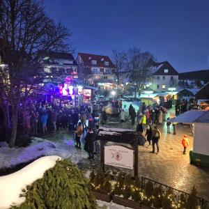 a crowd of people walking around a christmas market at Hotel Schiff am Schluchsee in Schluchsee +32 photos