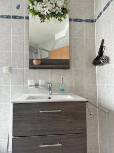 a bathroom with a sink and a mirror at Oppiner Straße 14 Trotha4 in Halle an der Saale +52 photos