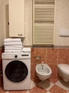 a bathroom with a washing machine and a toilet at Campiglio Trilocale Dolomiti in Madonna di Campiglio +15 photos