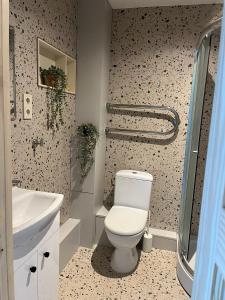 a bathroom with a toilet and a sink at Lapu ielas apartment in Ogre