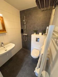 a bathroom with a shower and a toilet and a sink at Stad & Strandhotel Elisabeth in Vlissingen +53 photos