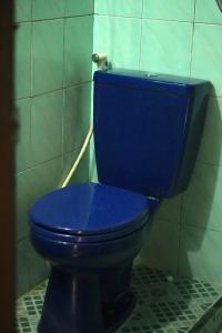 a blue toilet with a blue lid in a bathroom at Swindo Homestay 77, Small House in Berastagi +29 photos