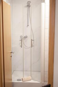 eine Dusche in einem Badezimmer mit Glastür in der Unterkunft Vila Belaggio in Plattling + 78 Fotos