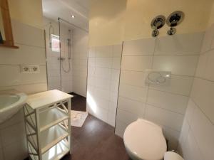 a bathroom with a toilet and a sink and a shower at Ferienwohnung Alte Schmiede in Burkheim