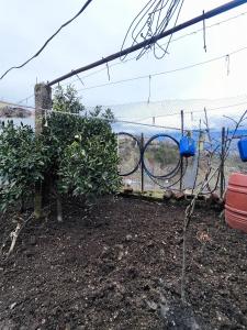 a garden with a fence and some plants at Sokaku Apartment in Gjirokastër