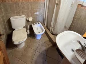 a bathroom with a toilet and a sink at Cabañas Las Cascadas in Caviahue +14 photos