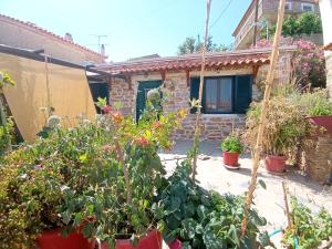 a garden in front of a house with plants at Moonstone retreat in Mesokhória