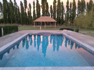 a swimming pool with a dog laying in the water at Finca Los Arrieros - Malargüe in Malargüe +28 photos