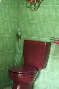 a red toilet in a green tiled bathroom at Swindo Homestay 77, Room 1 in Berastagi