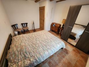 a bedroom with a bed and a mirror in it at La maison bleue in Velet
