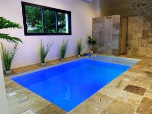 a blue swimming pool in a room with potted plants at Château des Bourdons Charme, Spa & Nature in Varennes Vauzelles