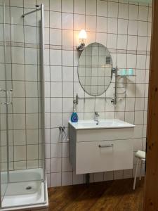 a bathroom with a sink and a mirror at Ferienwohnung Anna in Benneckenstein
