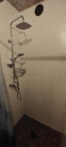 a shower in a bathroom with a shower head at Idille Studio with Patio & Free Parking in Ventspils