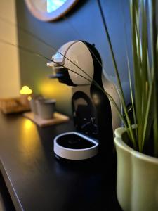 a plant sitting on a counter next to a toilet at Suite 11 in Tourcoing +11 photos