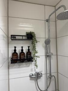 a bathroom with a shower with three bottles on a shelf at Zentrale Gästezimmer am Marienplatz - Kapstadt in Stuttgart