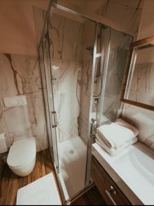 a bathroom with a shower and a toilet and a sink at Foresteria Tosi in San Colombano al Lambro +1 photo