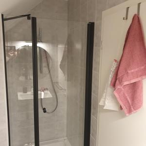 a bathroom with a shower with a glass door at River House Radolca in Radovljica +72 photos