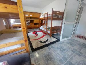 a room with two bunk beds and a carpet at Friendship Dorms Hostel in Shkodër