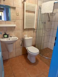 a bathroom with a toilet and a sink and a shower at Agroturystyka OLD ROAD 11 in Niedźwiedź