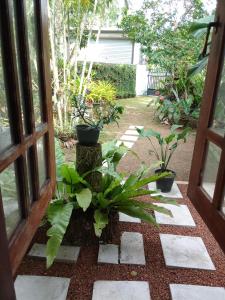 an open door to a garden with plants at peacock Rest in Batapola