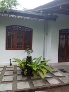 a house with some plants in front of it at peacock Rest in Batapola