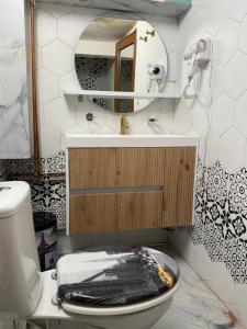 a bathroom with a toilet and a mirror at Villa Garden in Drobeta-Turnu Severin +12 photos