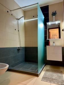 a bathroom with a shower and a sink at Germar Apartman in Pécs +10 photos
