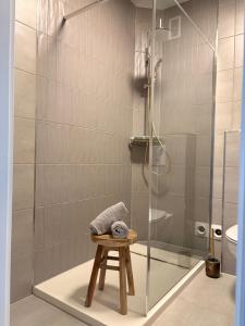 a shower with a stool in a bathroom at BrunnenApart Nova in Bad Oeynhausen +10 photos