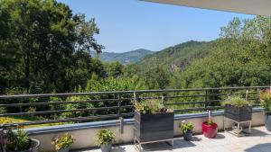 a balcony with potted plants and mountains in the background at Panorama Eifel View in Nideggen