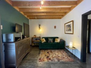 a living room with a green couch and a tv at Appartement Plein Pied Arrow Wood La Flèche in La Flèche