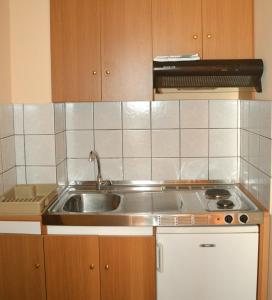 a kitchen with a sink and a stove at Melifilos in Agios Ioannis Pelio