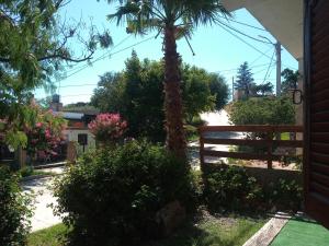 a garden with a fence and a palm tree at CHE Camilo in Tanti